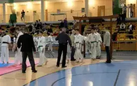 Mistrzostwa w karate0103