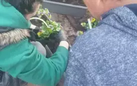 Wiosna zawitała do Nosalewa  (15)