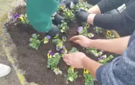 Wiosna zawitała do Nosalewa  (10)