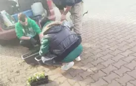 Wiosna zawitała do Nosalewa  (6)