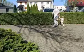 Poszukiwania wielkanocnego zajączka w Nosalewie (4)
