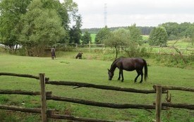 Pielgrzymka rowerowa do Biezdrowa (39)