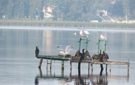 Pielgrzymka rowerowa do Biezdrowa (13)
