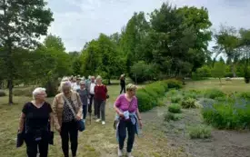 Piknik Dąbrowa07