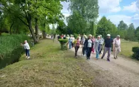 Piknik Dąbrowa04