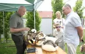 DzienDziecka2508
