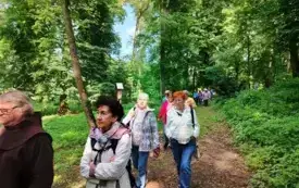 Mogilnica, Opalenica i ciekawa okolica (11)