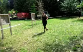 Hard run076