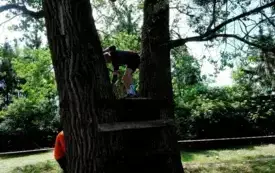 Hard run071