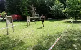 Hard run066