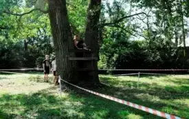 Hard run010