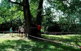 Hard run009
