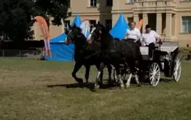 3 Dzień Pniew44