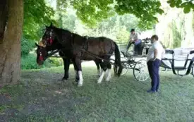 3 Dzień Pniew43