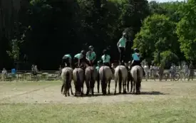 3 Dzień Pniew19