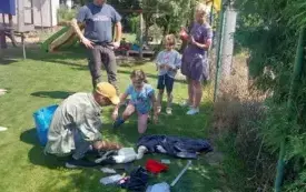 Młode bociany już z obrączkami (4)