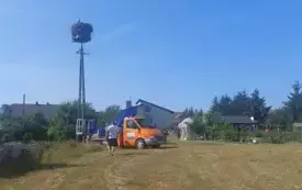 Młode bociany już z obrączkami (1)