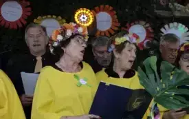 Biesiada37