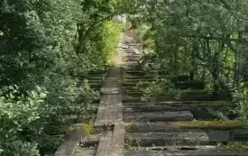 Poranek na słodko - Szamotuły (1)