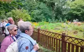 Jarocin warto poznać! (5)