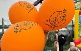 Festyn w Złobku Żyrafy17