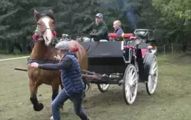 IX Wyścig przez Wieki174