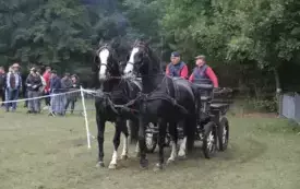 IX Wyścig przez Wieki158