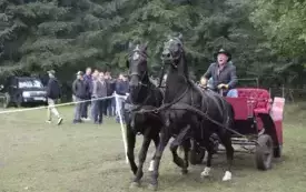 IX Wyścig przez Wieki141