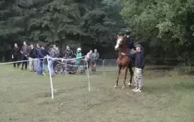 IX Wyścig przez Wieki137