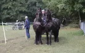 IX Wyścig przez Wieki124