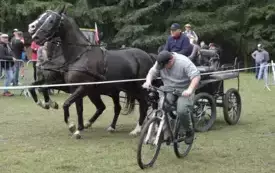 IX Wyścig przez Wieki115