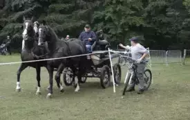 IX Wyścig przez Wieki114