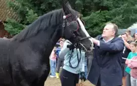 IX Wyścig przez Wieki074