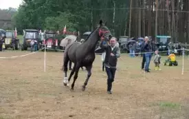 IX Wyścig przez Wieki069