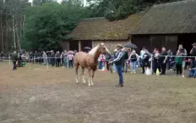 IX Wyścig przez Wieki065