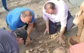 Wykopki w Turowie26