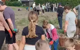 Wykopki w Turowie22