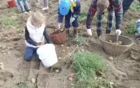 Wykopki w Turowie21