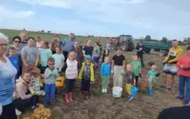Wykopki w Turowie19