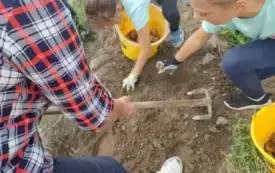Wykopki w Turowie17