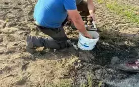 Wykopki w Turowie16