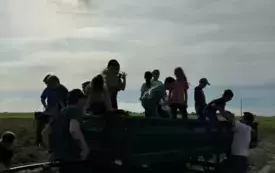 Wykopki w Turowie15