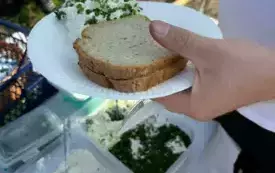Wykopki w Turowie12