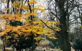 Rajd Niepodległości19