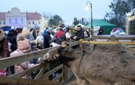 Jarmark Bożonarodzeniowy 2025 w Pniewach001052
