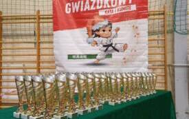 Gwiazdkowy Turniej Karate21