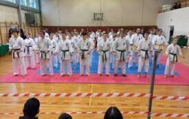 Gwiazdkowy Turniej Karate04