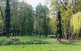 Dzień Ziemi z DDS (12)