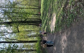 Dzień Ziemi z DDS (9)