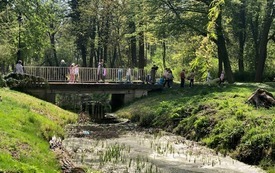 Dzień Ziemi z DDS (6)